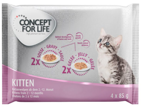 Concept for Life Kitten.jpg